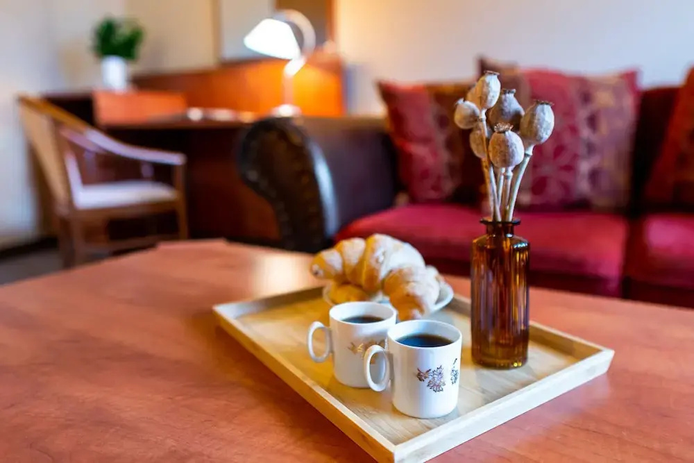 Hotel U Vlasskeho Dvora - Général