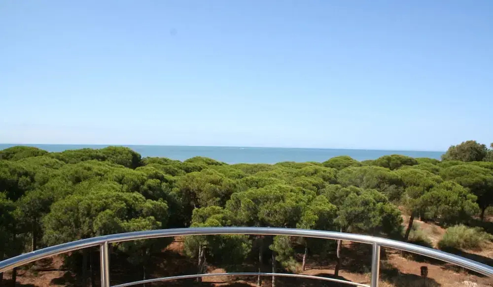 Balcony & Terrace