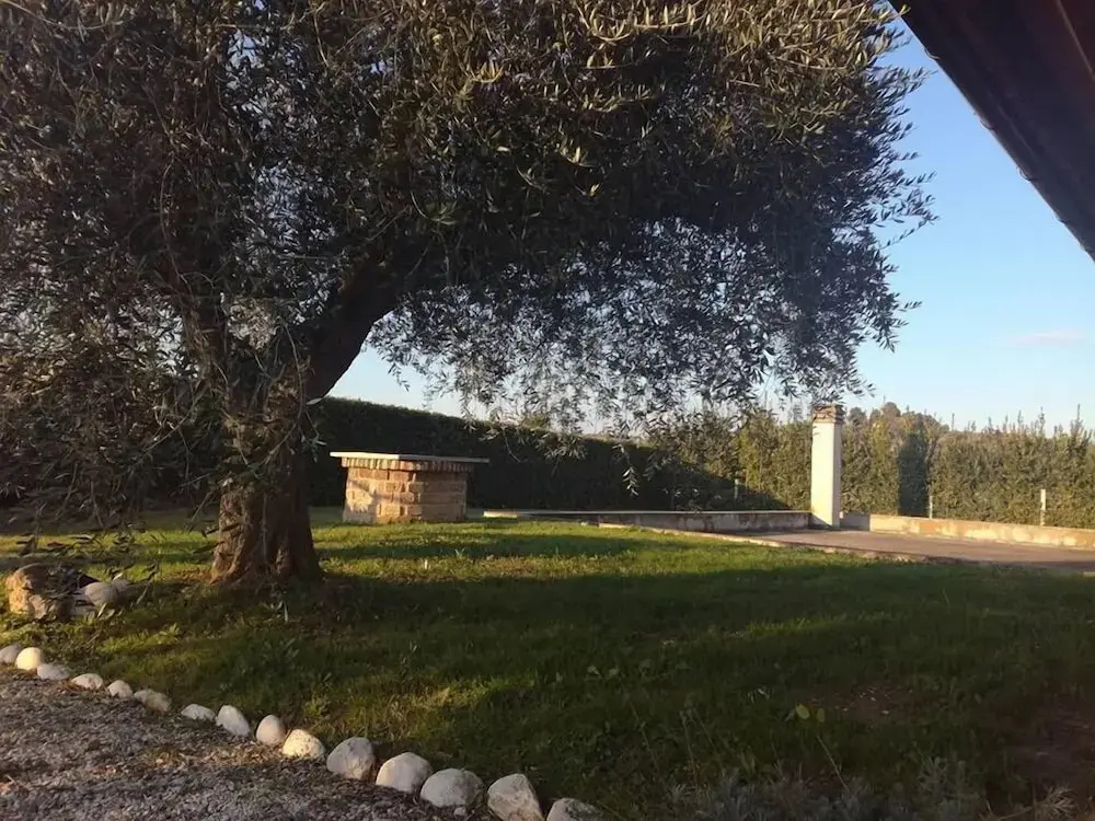 La Zavorrina