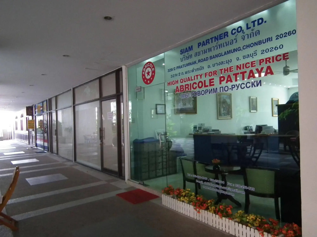 Abricole Pattaya - Général