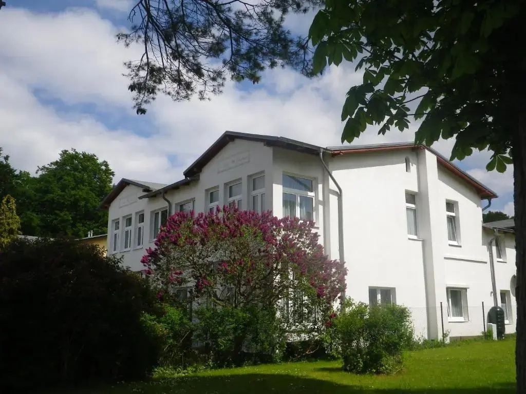 Standard Apartment with garden view