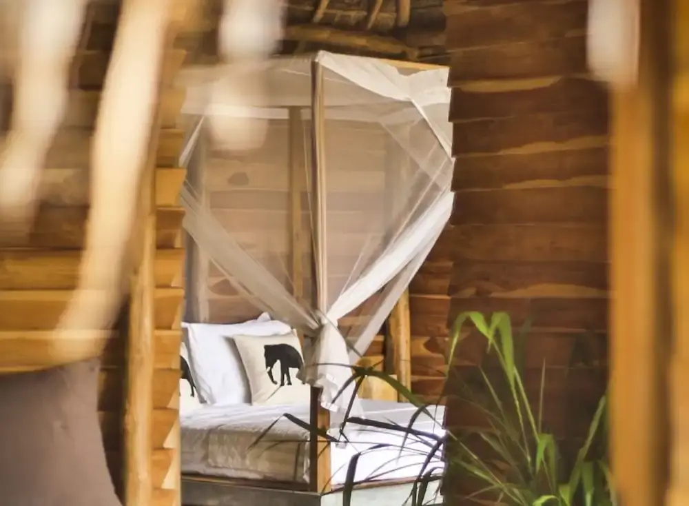 Gal Oya Lodge - Chambres