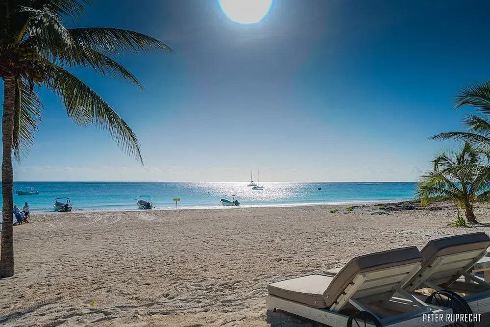 Beach & Waterfront