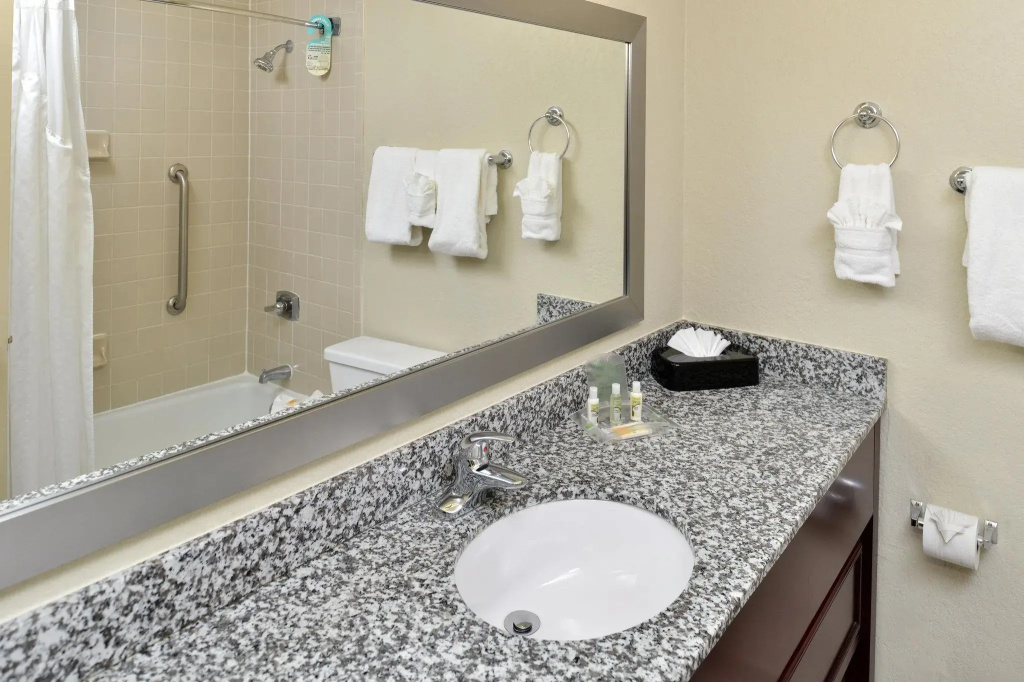 Holiday Inn St Petersburg N - Clearwater by IHG - Chambres