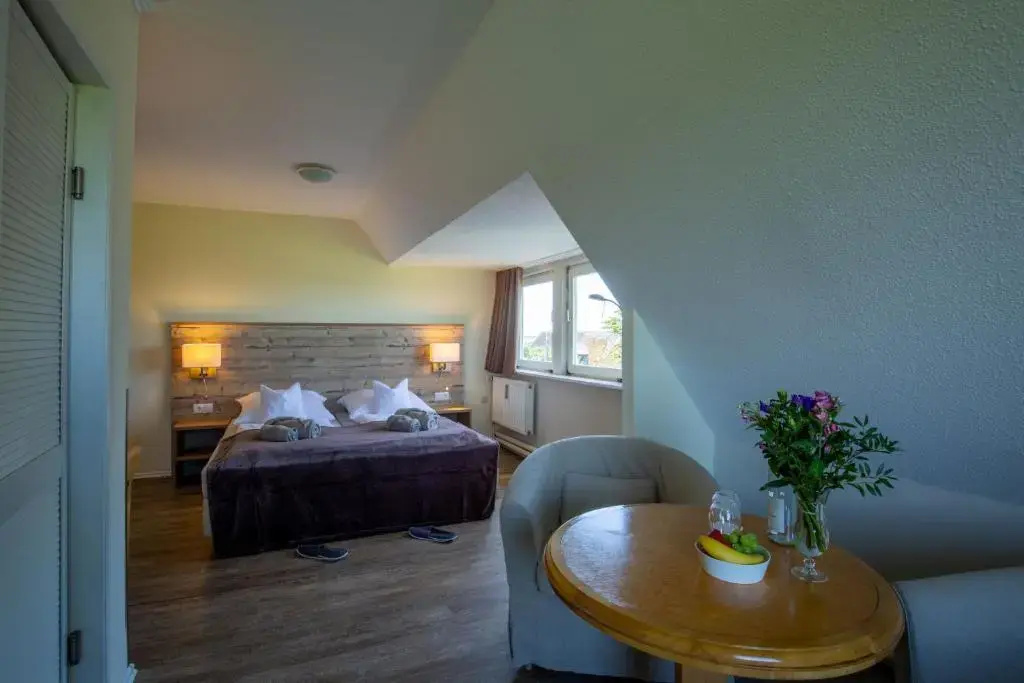 Standard Double room (full double bed)