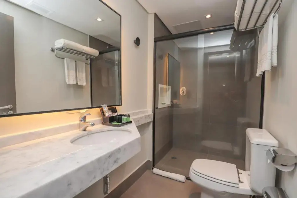 Intercity São Paulo Paulista - Chambres