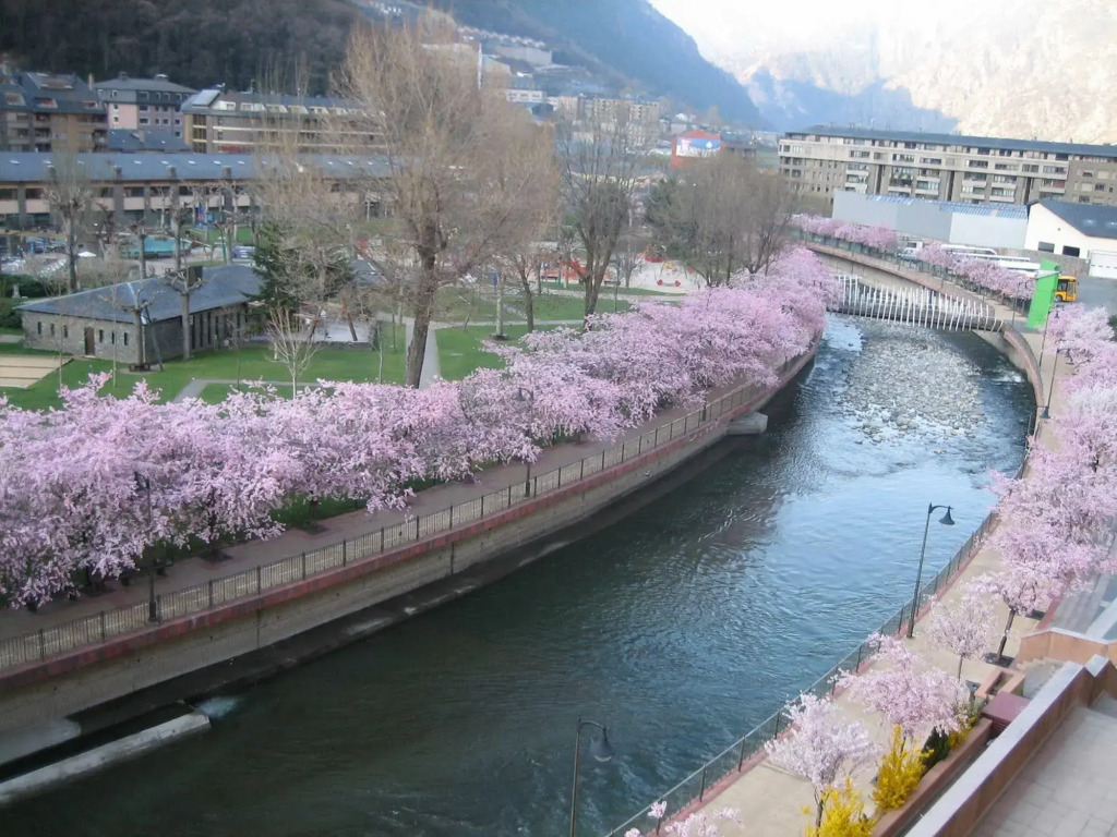 Image 31