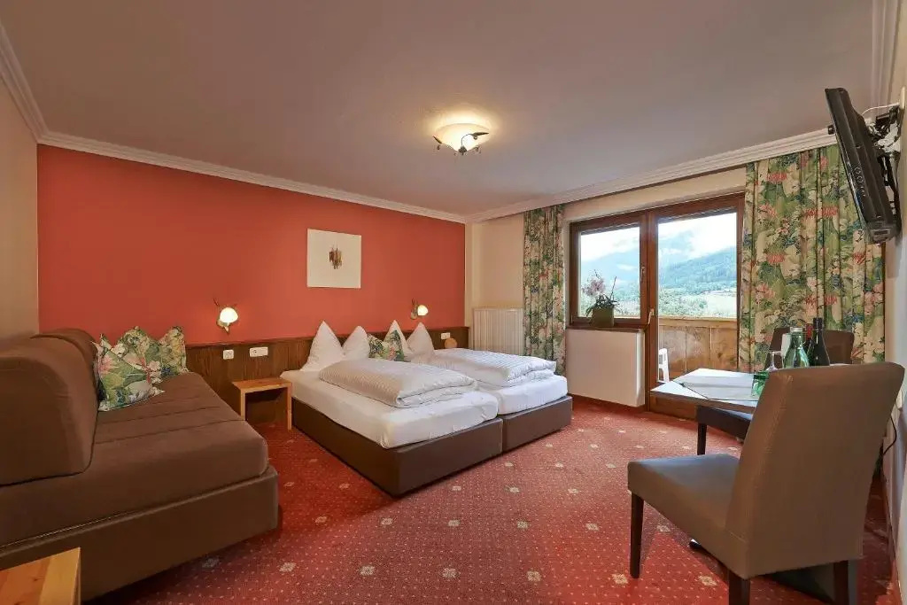 Standard Double room with mountain view (full double bed)
