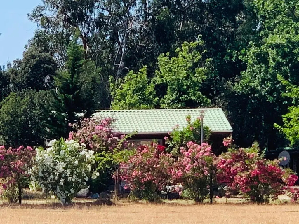 3 Bedrooms Chalet