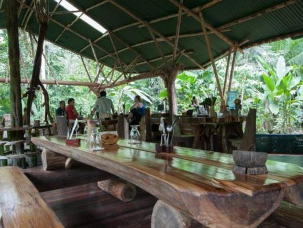 Danta Corcovado Lodge picture