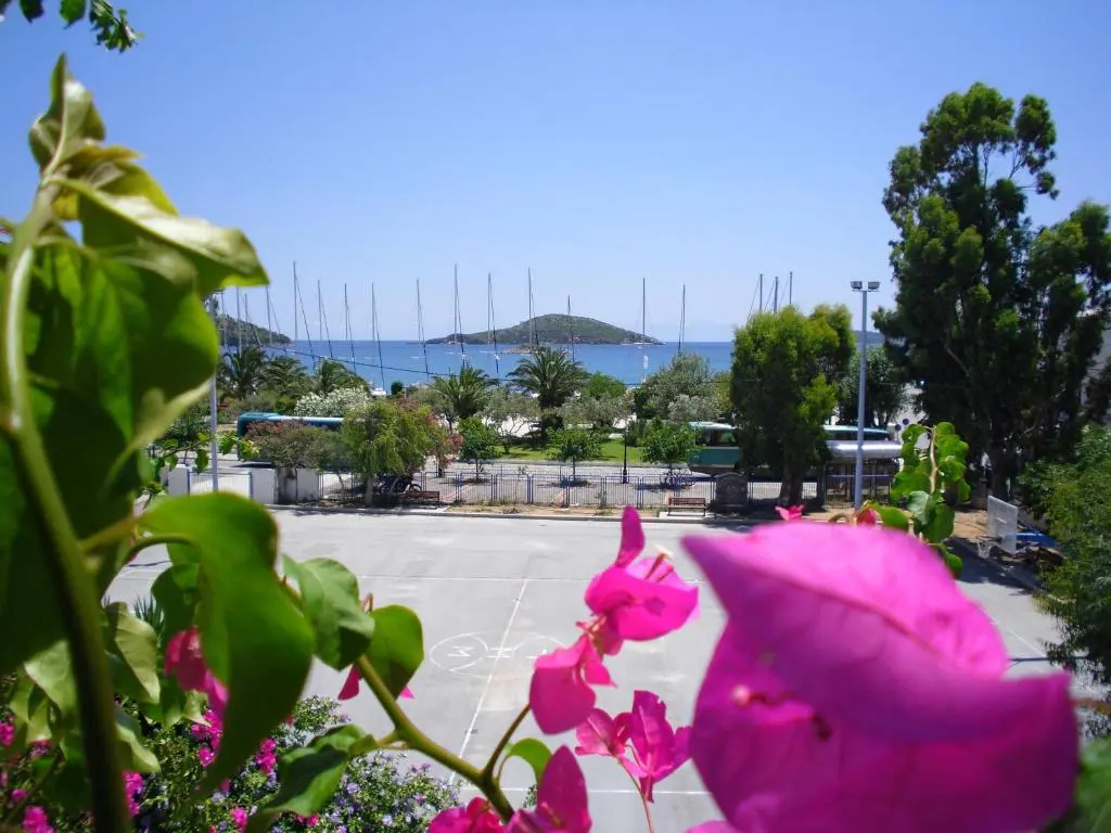 Standard Double room with sea view (full double bed)