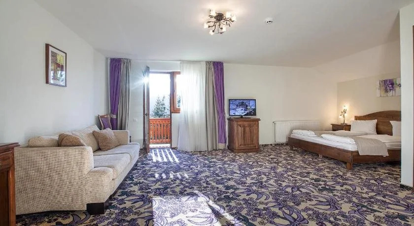 Hohe Rinne Paltinis Hotel & Spa - Général