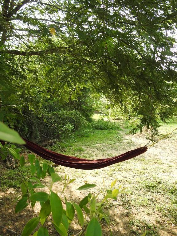 Eagles Nest Cabanas
