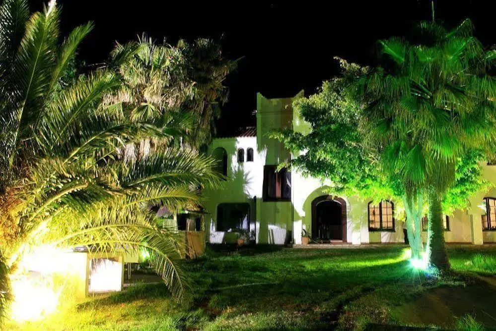 Arte Vida