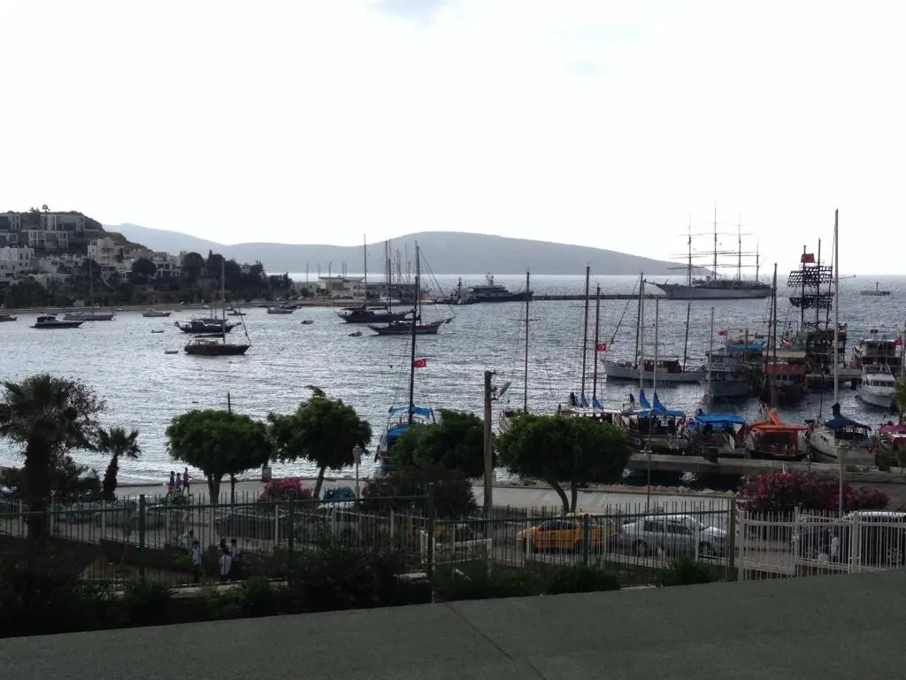 Standard Double room with balcony and with sea view (full double bed)