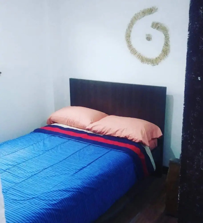 Standard Double room with mountain view (full double bed)