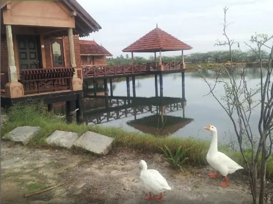 Velankanni Lake Resort - Général