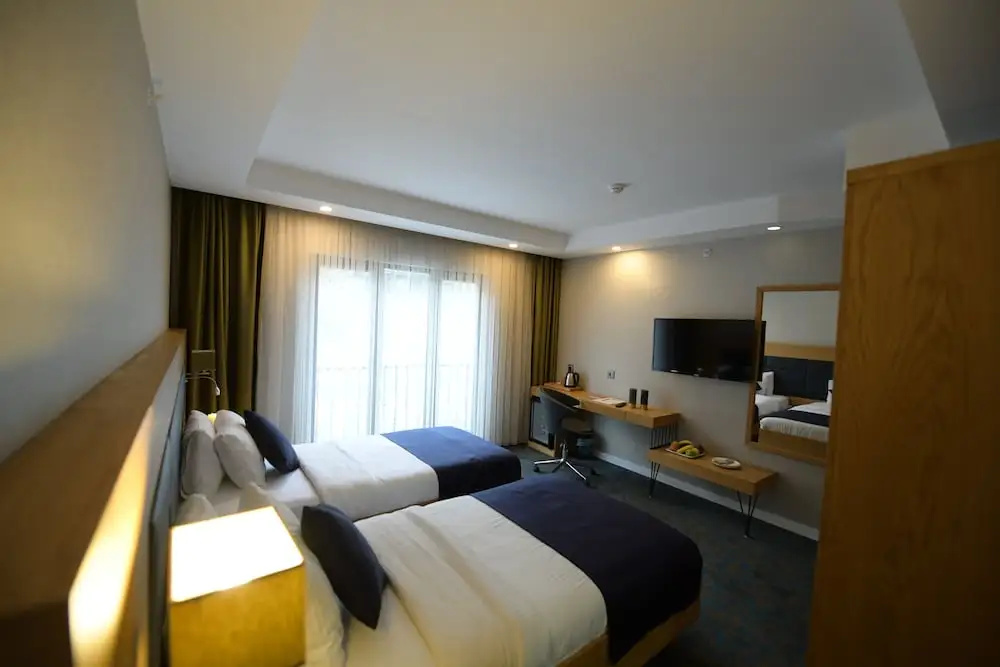 Deluxe Double room with mountain view (twin beds)