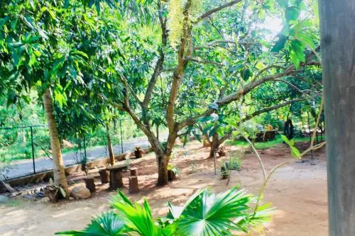 kataragama home stay