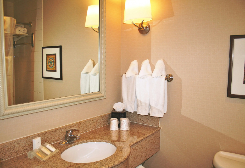 Hilton Garden Inn El Paso / University - Général