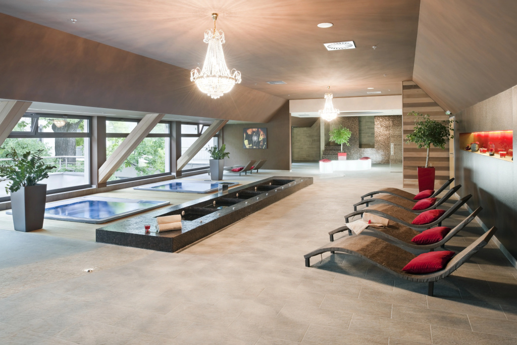 Holiday Inn Trnava by IHG - Général