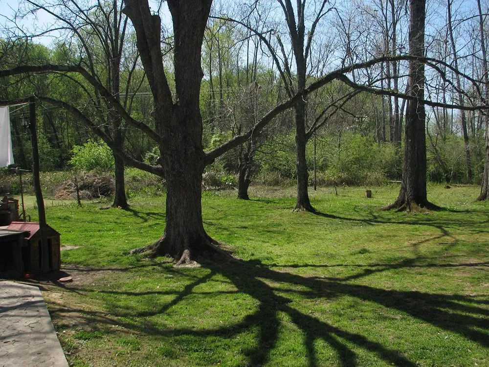 Casona del Rio - фото 14