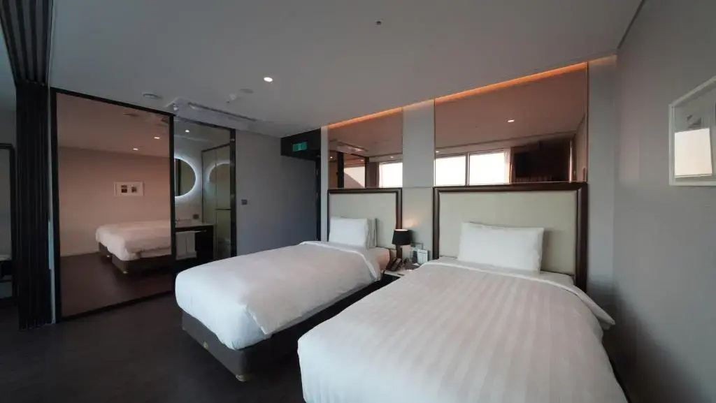 Standard Double room with city view (twin beds)