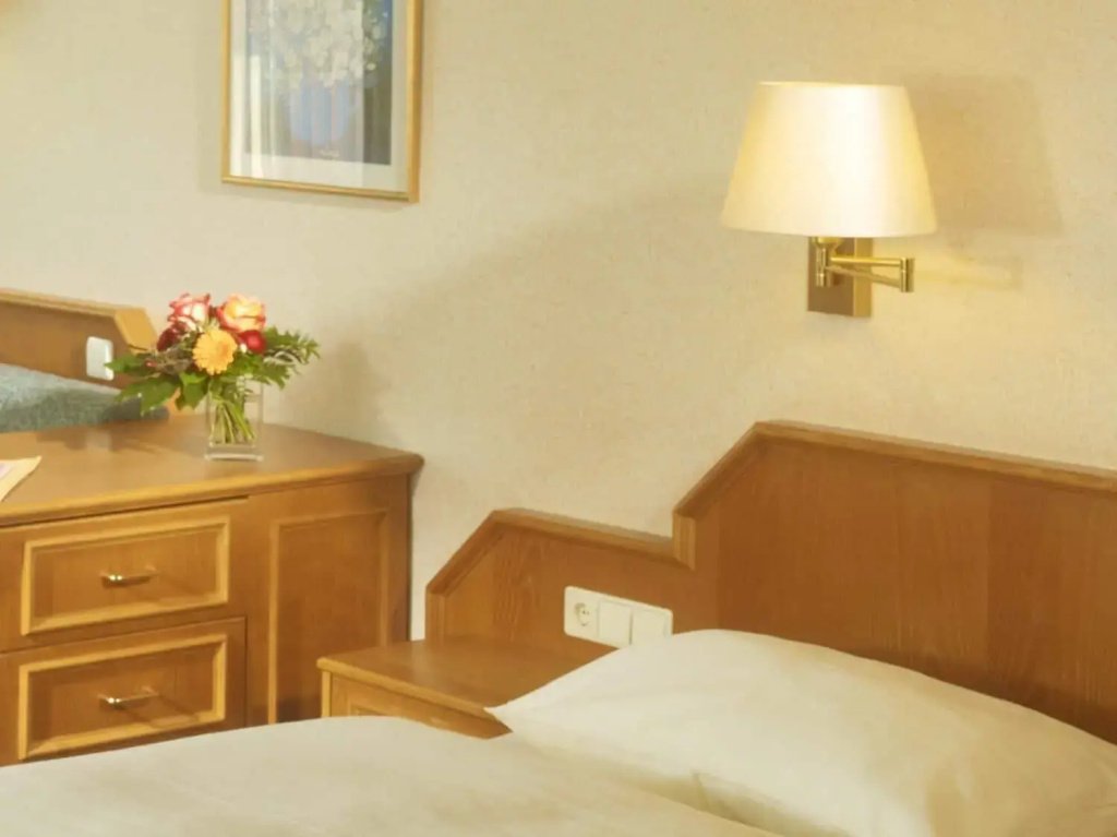 Hotel Losch Pfalzer Hof - Général