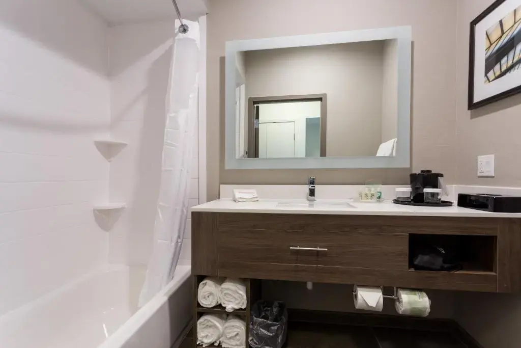 Holiday Inn San Marcos-Convention CTR Area by IHG - Chambres