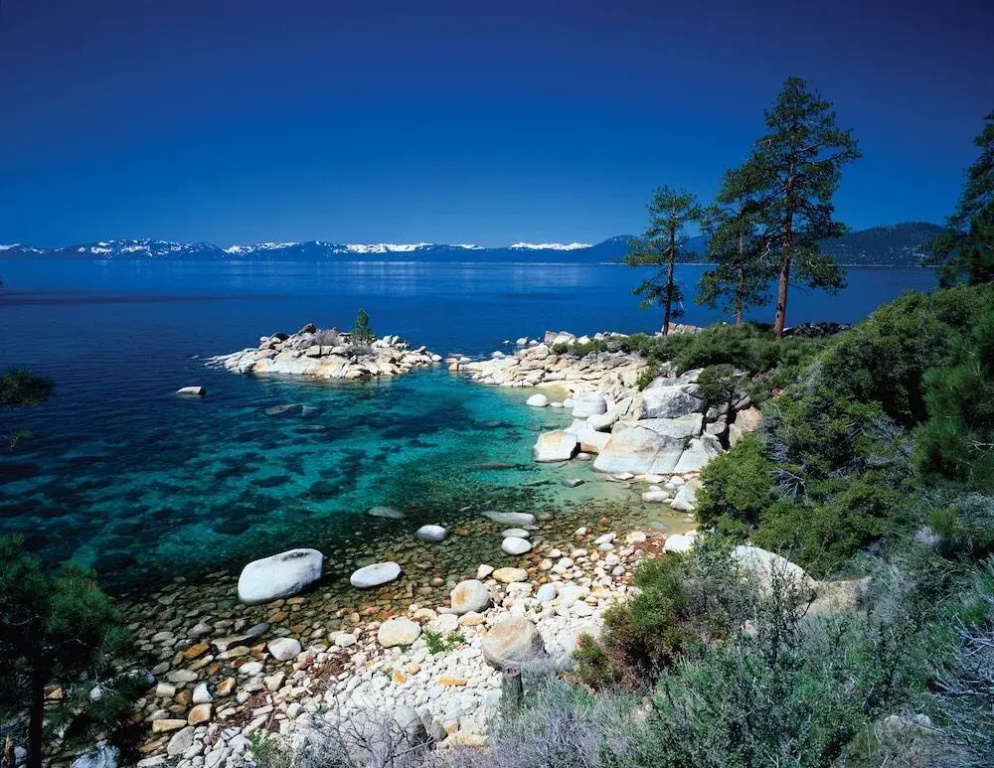 Cozy 1BD South Lake Tahoe by RedAwning