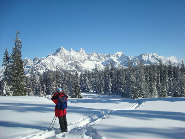 Wander-Vitalhotel Steirerhof - Général