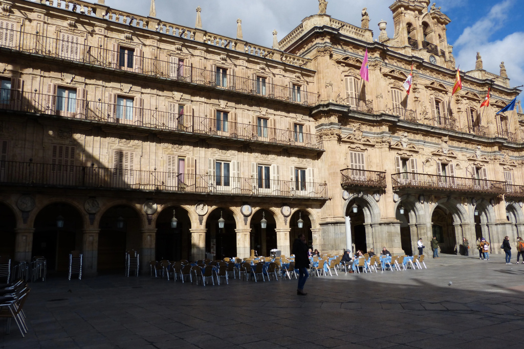 Hotel Sercotel Las Torres Salamanca - Général