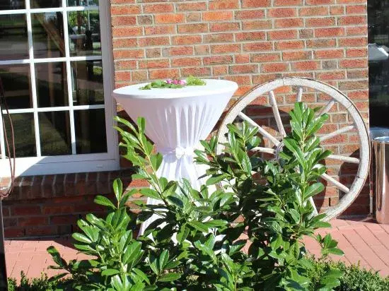 Balcony & Terrace