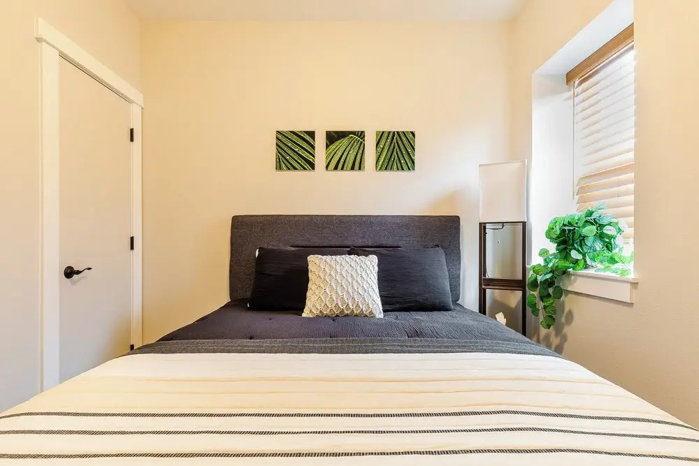 Luxury Apartment