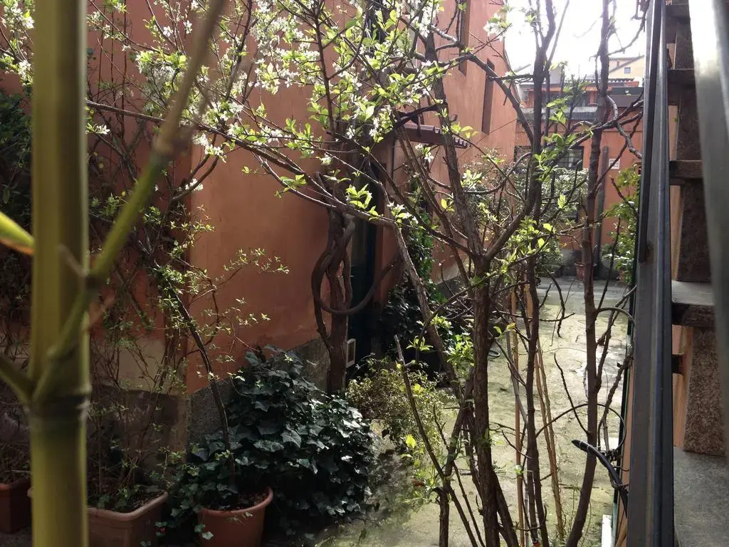 BB Fiori di Grano - Général