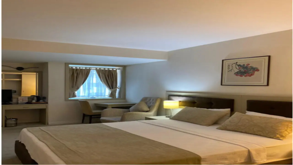 Palm Inn Hotel - Général