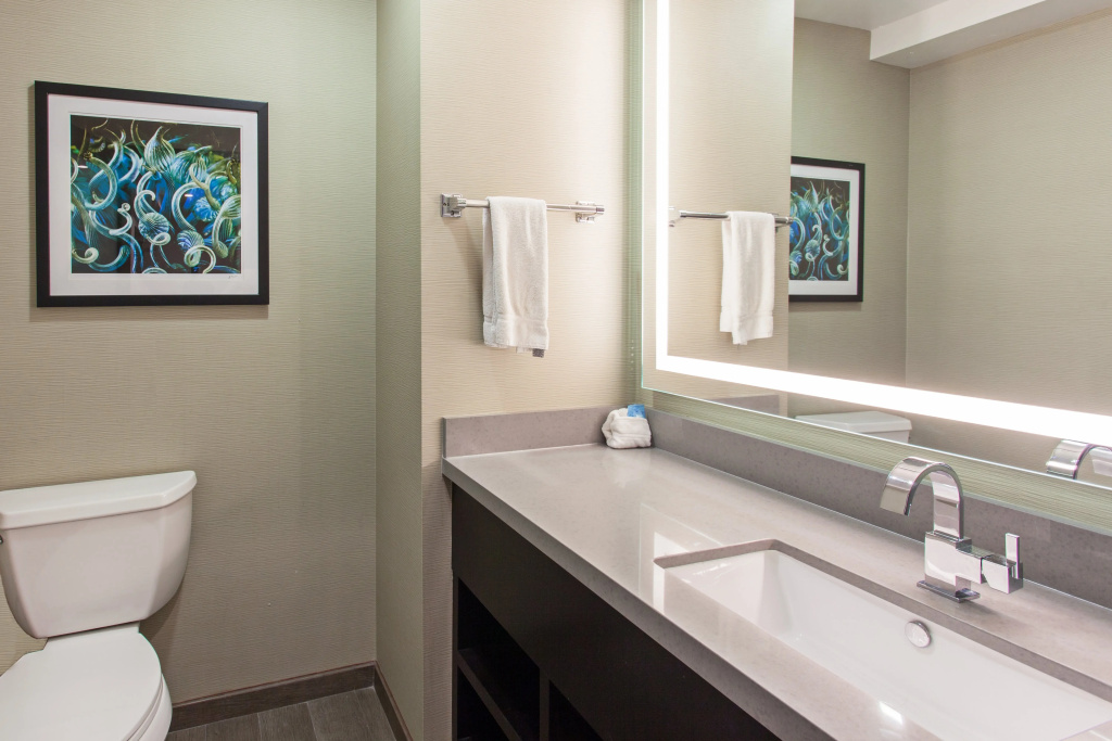 Holiday Inn Express & Suites Hollywood Walk Of Fame - Général