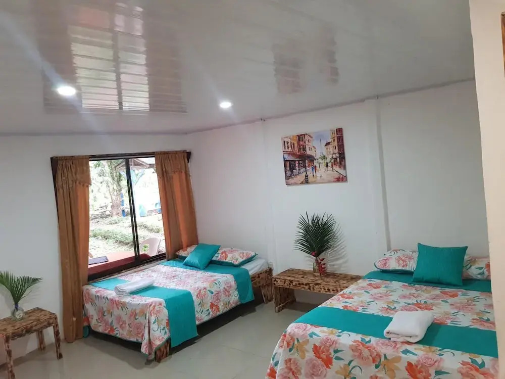 Hotel Maguey - фото 4