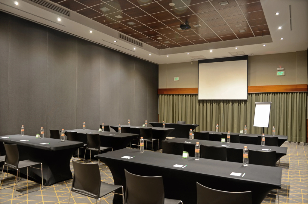 Holiday Inn San Luis Potosi Quijote by IHG - Général
