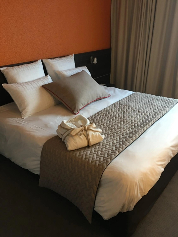 Alexander Park Chambéry Hotel - Général
