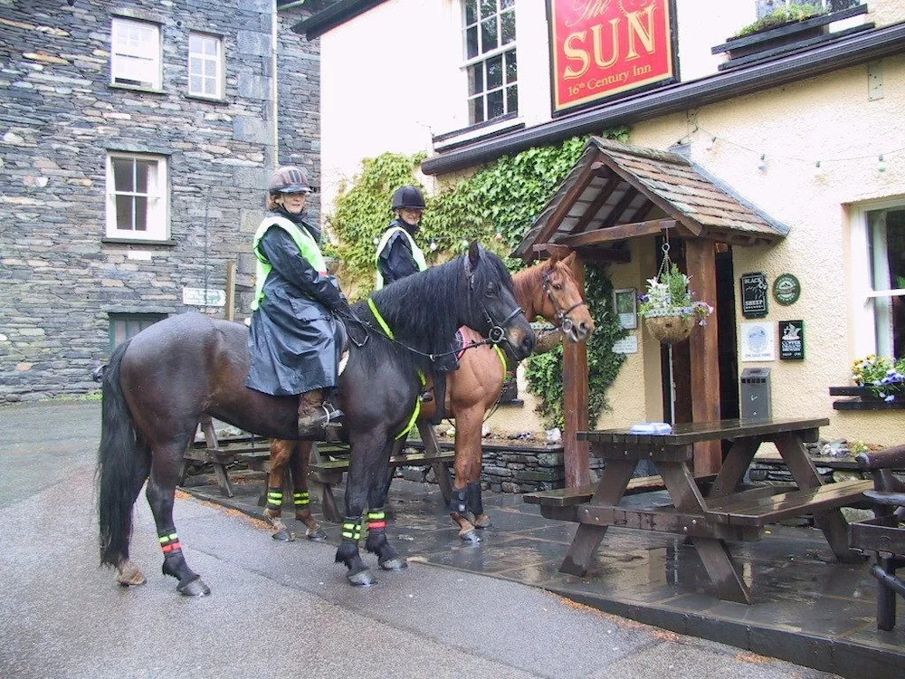 The Sun