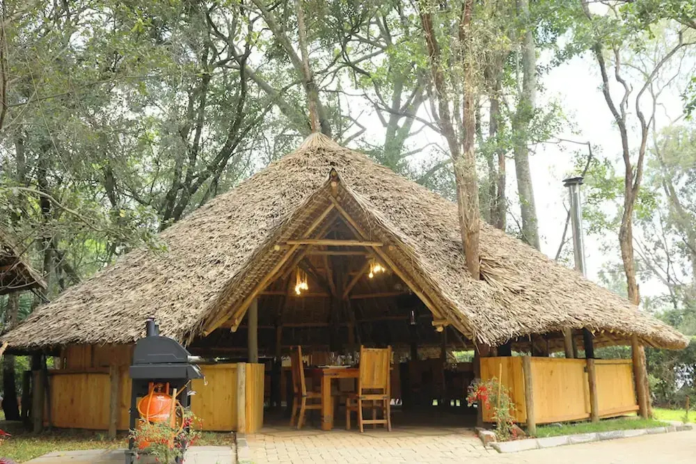 The Giraffe Cottage
