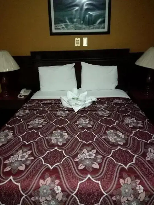 Standard Double Family room (full double bed)