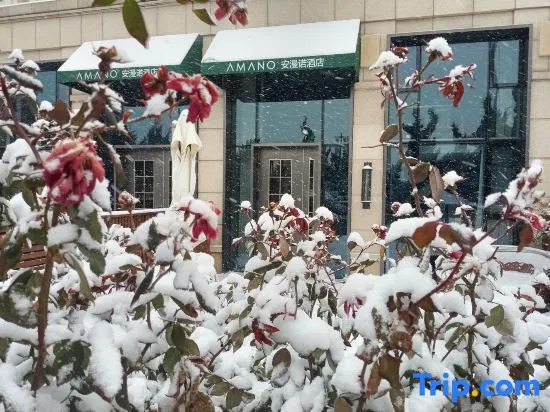 Dalian Amano Villa — фото