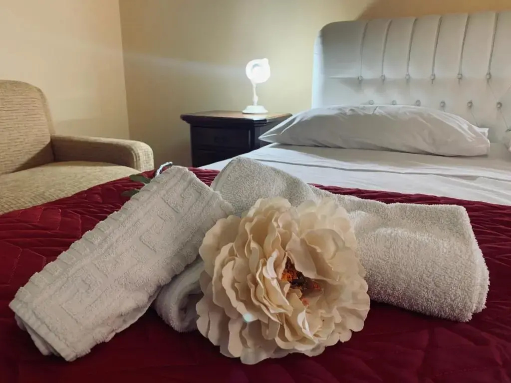 Standard Double room with balcony (full double bed)
