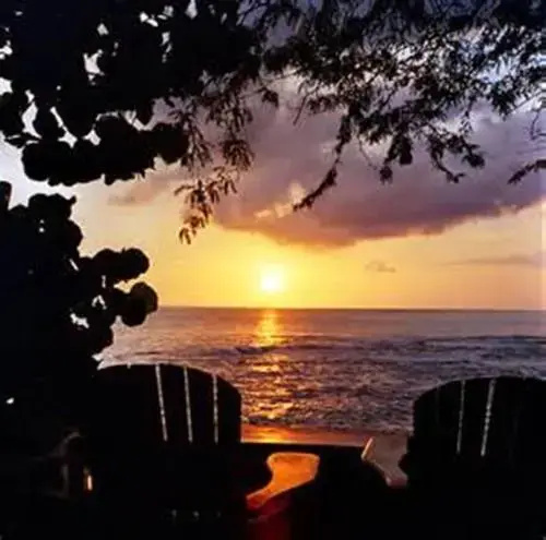 Palm Beach Paradise