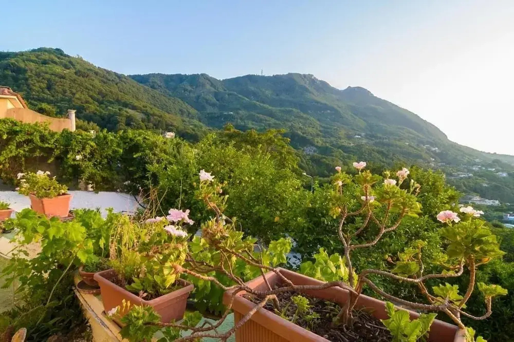 Giardini di iside e osiride