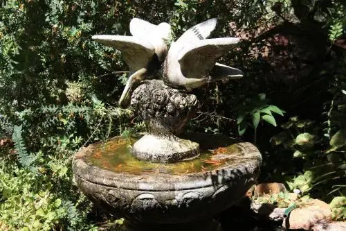 Whispering Pines B&B - фото 10