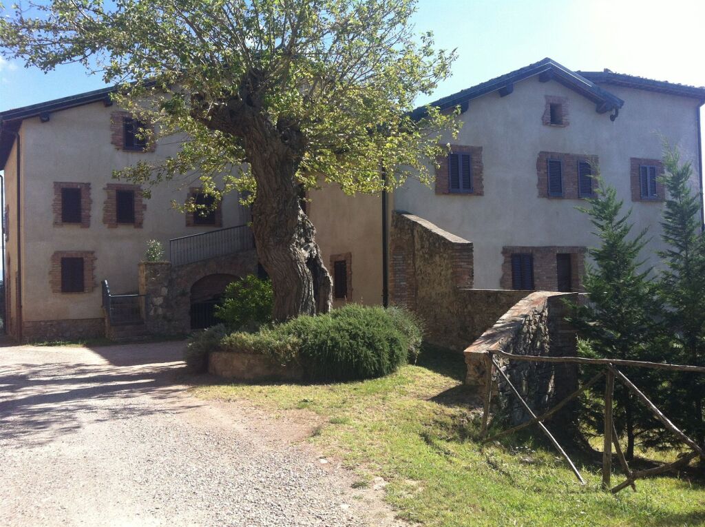 Image 13