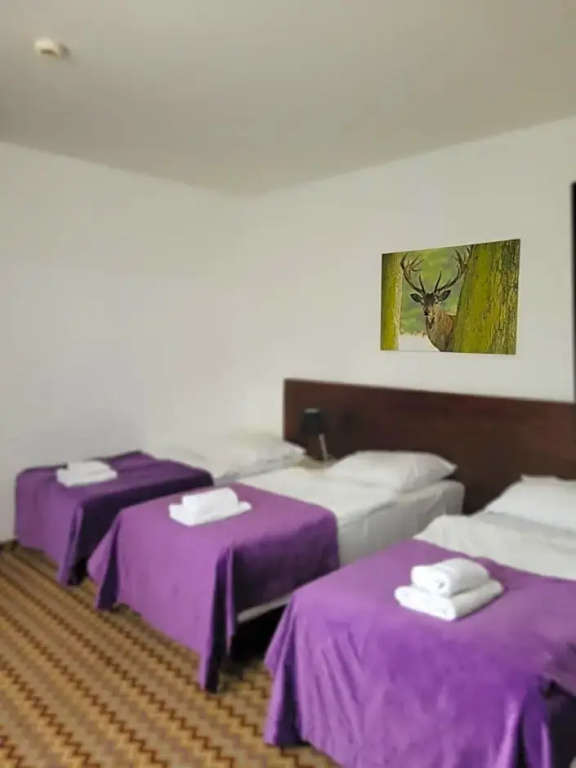 Boutique Eco Hotel Sasanka - Chambres